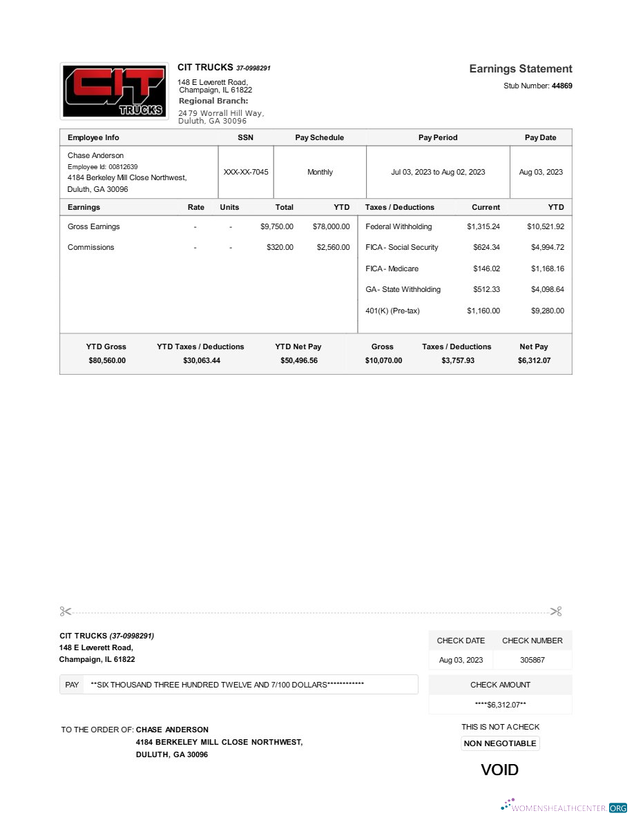 Download CIT TRUCKS earnings statement template in Word and PDF formats.pdf, 1 Photoshop template